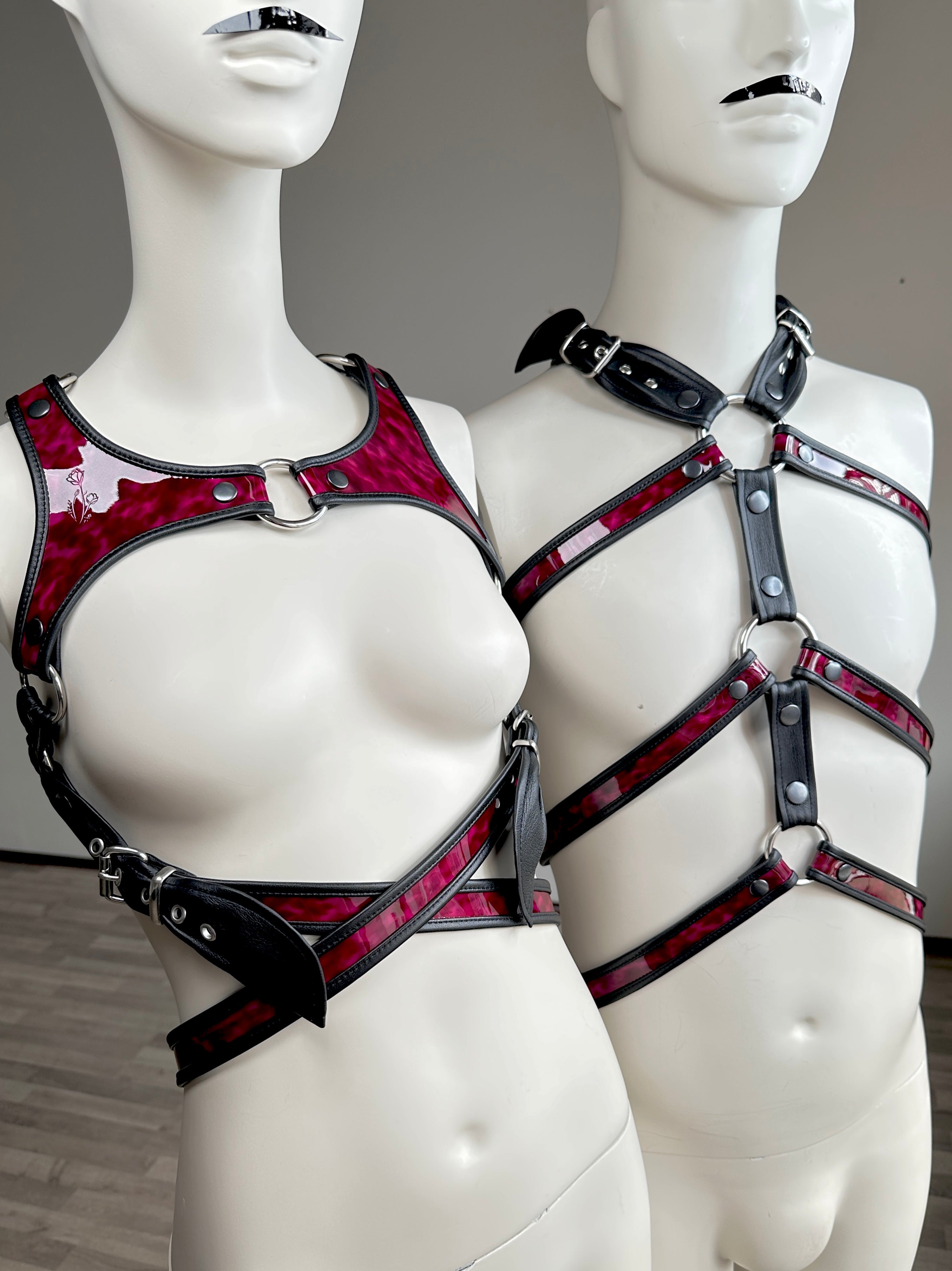 Harnesses